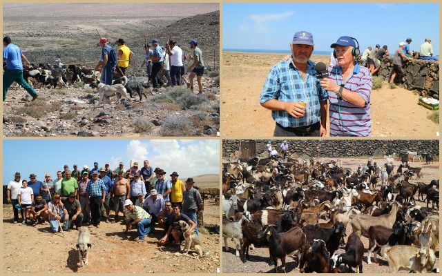 De apañada en Jarugo Fuerteventura