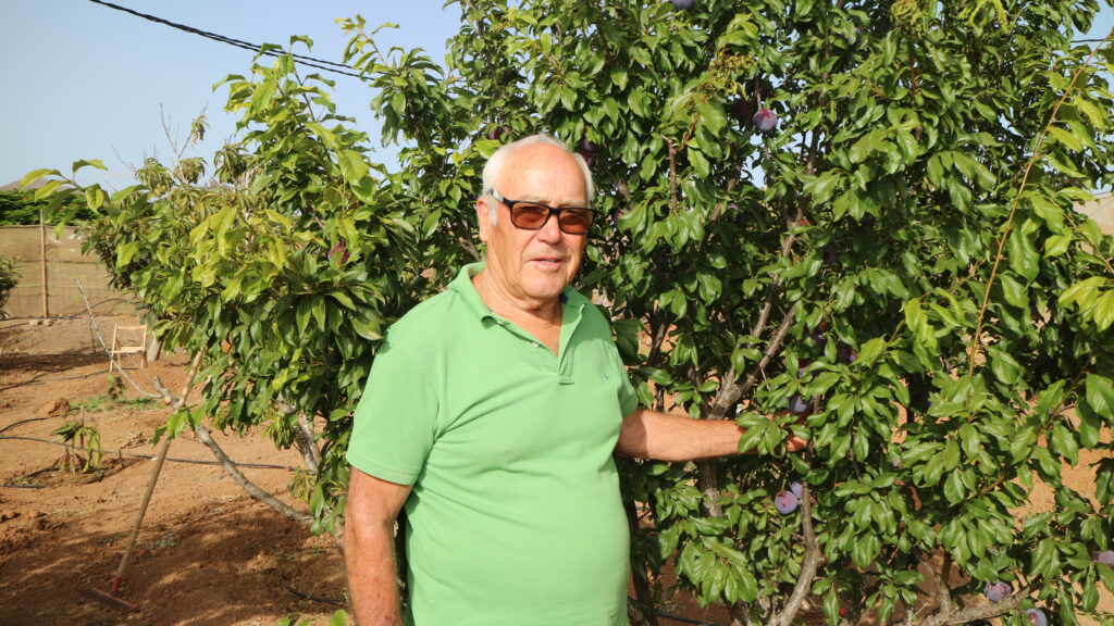 Elias Cerdeña Brito